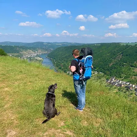 Lägenhet Apolo Münstermaifeld