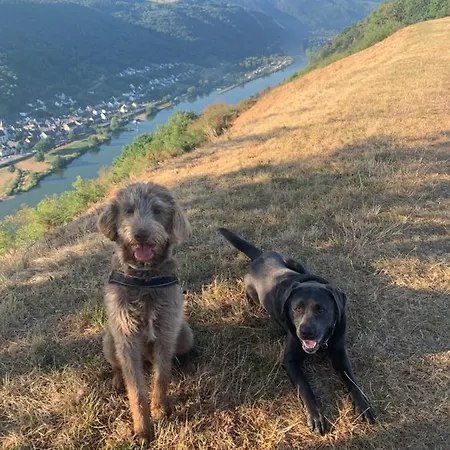 Appartamento Apolo Münstermaifeld